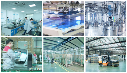 新材料技術研發引領綠色發展，安徽新濤獲評省級“綠色工廠”助力“含綠量”持續攀升